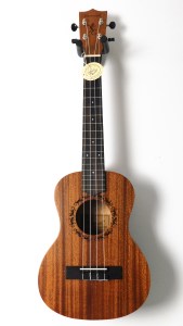 Aiersi mahogany tenor ukulele with gecko soundhole for sale in Sheffield
