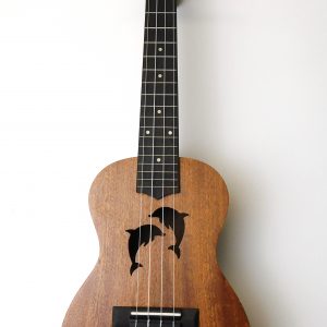 Aiersi dolphin soundhole mahogany concert ukulele for sale in Sheffield